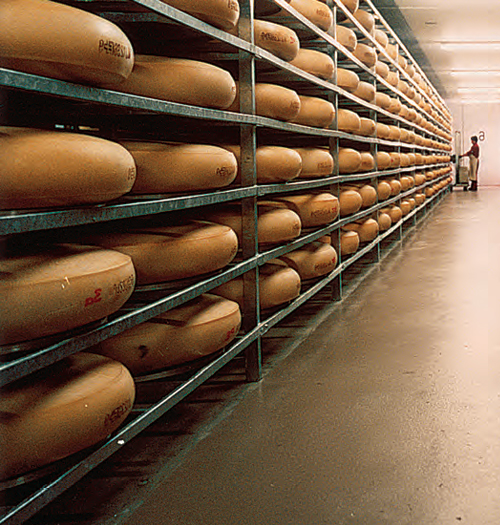 チーズを熟成させるには、カビや酵母が繁殖しやすい環境が必要